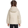 Columbia Kids Powder Lite Ii Hooded Jacket (little Kid/Big Kid)(Chalk/Dark Stone)