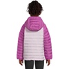Columbia Kids Powder Lite Ii Hooded Jacket (little Kid/Big Kid)(Lavender Pearl/Razzle)
