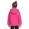 Columbia Kids Powder Lite Ii Hooded Jacket (little Kid/Big Kid)(Pink Ice)