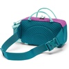 Columbia Unisex Echo Mountain Hip Pack(Razzle/River Blue/Sand Dune/Spray)
