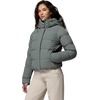 Columbia Amaze Puff Hooded Jacket(Sedona Sage)