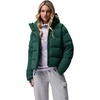 Columbia Amaze Puff Hooded Jacket(Rain Forest)