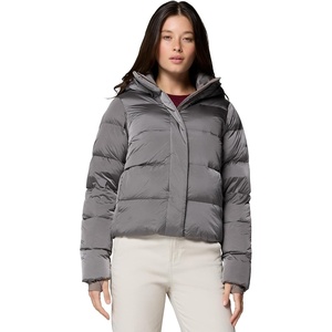Columbia Amaze Puff Hooded Jacket(Iron High Shine)