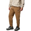Columbia Men’s Dry Creek Heavyweight Pant(Delta)