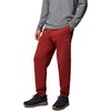 Columbia Men’s Dry Creek Heavyweight Pant(Red Oxide)