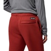 Columbia Men’s Dry Creek Heavyweight Pant(Red Oxide)