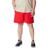 Columbia Men’s PFG Backcast IV Quick Dry Swim Shorts(Red Spark)