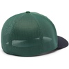 Columbia Unisex Adult PFG Logo Mesh Ball Cap(Rain Forest/Black)