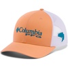Columbia PFG Logo Mesh Ball Cap(Bright Nectar/White/Ocean Teal/Bass)