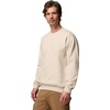 Columbia Men’s Oakwind Crew(Ancient Fossil)