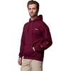 Columbia Men’s Oakwind Logo Hoodie(Rich Wine)