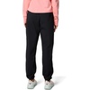 Columbia Women’s PFG Tidal Roamer II Stretch Pant(Black)
