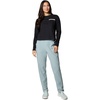 Columbia Women’s PFG Tidal Roamer II Stretch Pant(Crushed Blue)