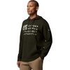 Columbia mens Phg Game Flag II Hoodie(Greenscape)