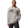 Flint Grey