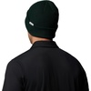 Columbia Unisex Collegiate Lost Lager Beanie(Ms – Spruce)
