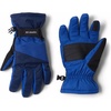Collegiate Navy/Mountain Blued