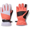 Snowdrift/Hot Coral