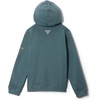 Columbia Kids’ Pfg Hot Mark Hoodie(Metal/Bassquatch)