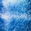 Columbia Kids Rugged Ridge Ii Printed Sherpa Full Zip (little Kid/Big Kid)(Mountain Blue Omblur)