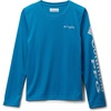 Blue Echo/Cool Grey Logo