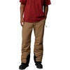 Columbia Men’s Bugaboo VI Pant(Delta/Black)